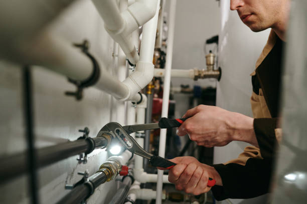 Best Shower Repair Services  in Palmyra, WI