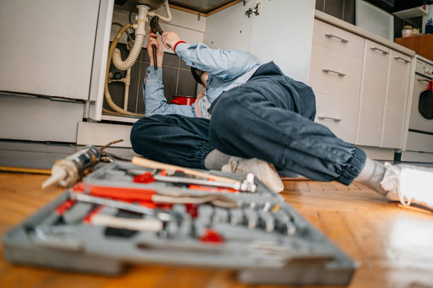 Best Water Leak Repair  in Palmyra, WI