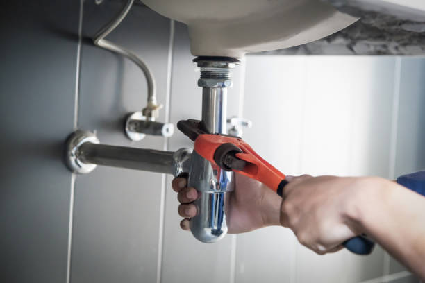 Best Plumbing Inspection Services  in Palmyra, WI